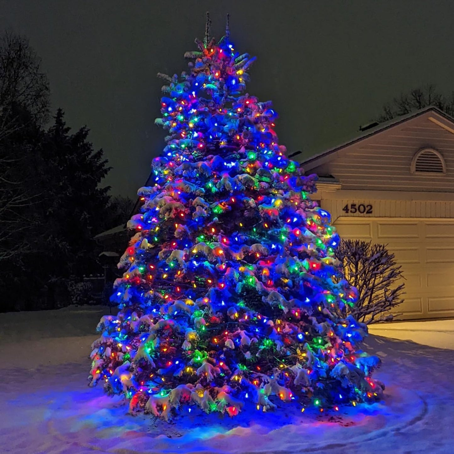 HUGSVIK C6 Solar Christmas Lights Outdoor Waterproof, 21Ft 50LED Strawberry Colored, 8 Modes Solar Powered for Tree Wreath Garland Garden Patio