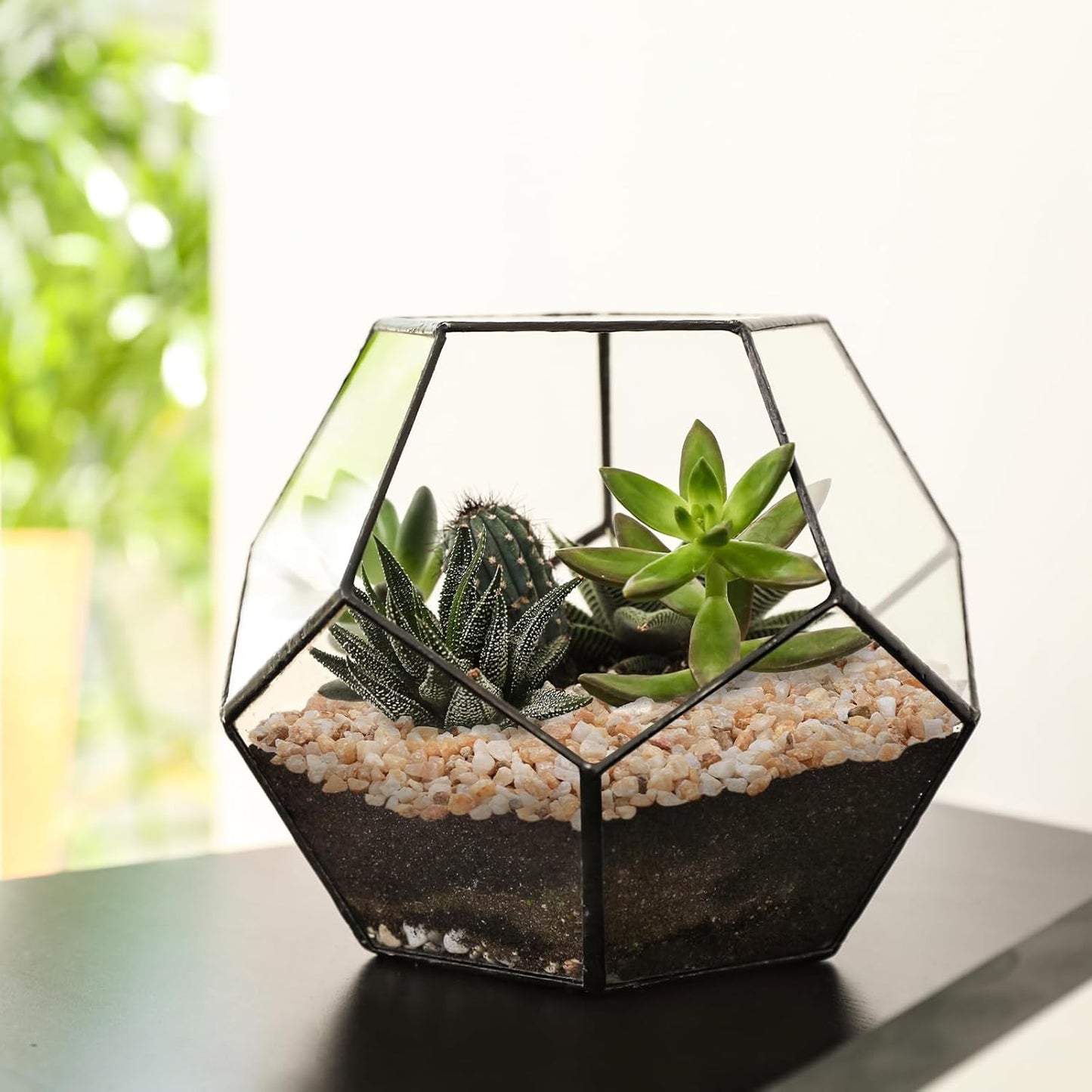 5 lbs Coarse Silica Sand for Indoor Plants, 1/5 Inch Natural Decorative Gravel for Vases, Aquariums, Terrarium, Fish Tank, Drainage Rocks for Potted Plants, Bamboo, Succulent, Crafts, Cactus