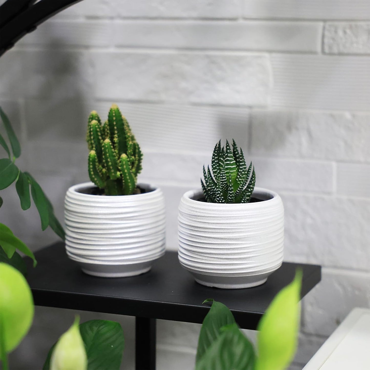 Mini Succulent Planter Set – 3.7 Inch Ceramic Pots with Drainage for Indoor Plants, Small Decorative Flower Pots for Cactus and House Plants, Set of 4