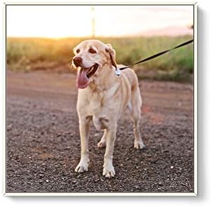 NWT Custom Framed Canvas Prints with Your Photo for Pets, Personalized Canvas Wall Art for Living Room, Bedroom - 24x24 inches