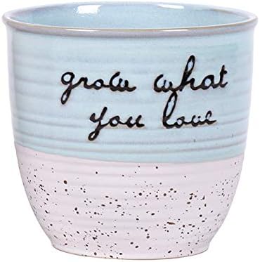 Patricia 4" Flower Pot, Multi Color