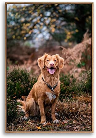 NWT Custom Framed Canvas Prints with Your Photo for Pets, Personalized Canvas Wall Art for Living Room, Bedroom - 16x24 inches