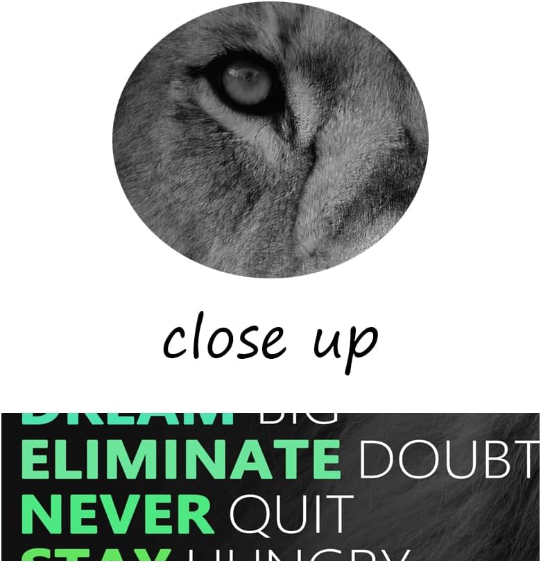 Motivational Lion Canvas Poster for Office Colorful Wall Art Painting Artwork Inspirational Picture Print Wall Decor for Home Living Room Bedroom Workplace Wooden Framed Ready to Hang [30''Wx 40''H]