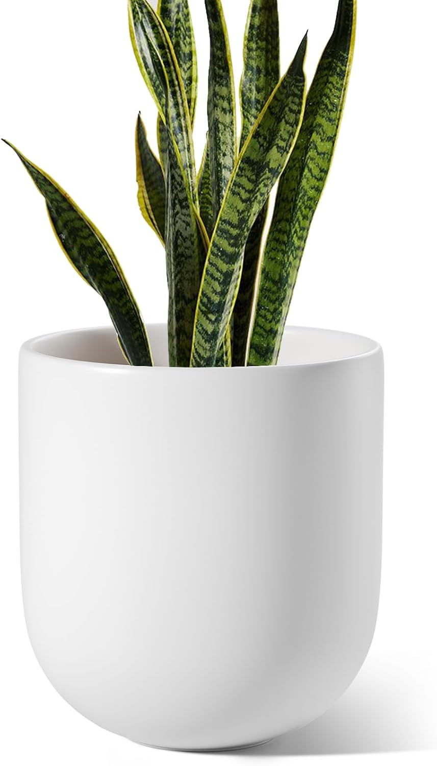 LE TAUCI 10 Inch Plant Pot, Ceramic Pots for Plants with Drainage Hole and Rubber Plug, Plant Pots Indoor for Olive Tree, Cylinder Planter Pot for Home Patio Office, White