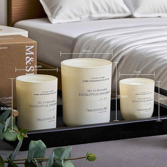 M&SENSE Natural Soy Candle| City Oasis | 5.3 oz | Minimalist Scented Candle for Relaxation, Gifting, Home Décor | for Bedroom, Office, Party Small