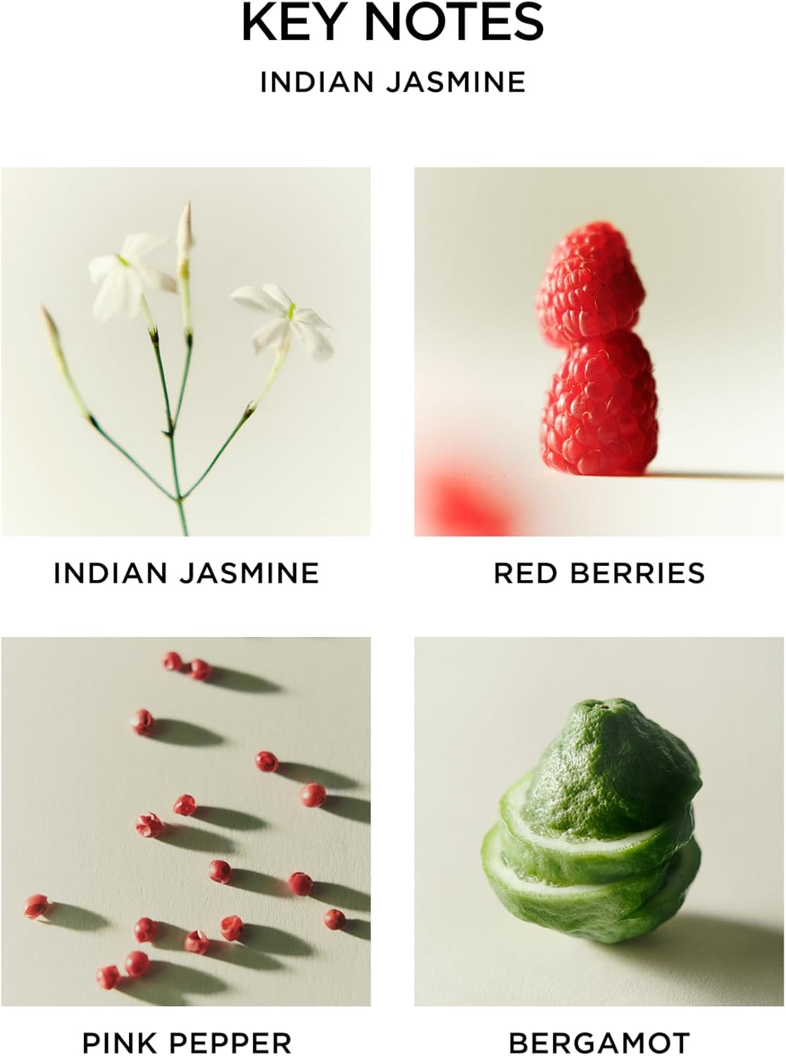 NEST New York Scented Classic Candle, Indian Jasmine - 8.1 oz - Up to 60-Hour Burn Time - Reusable Glass Vessel