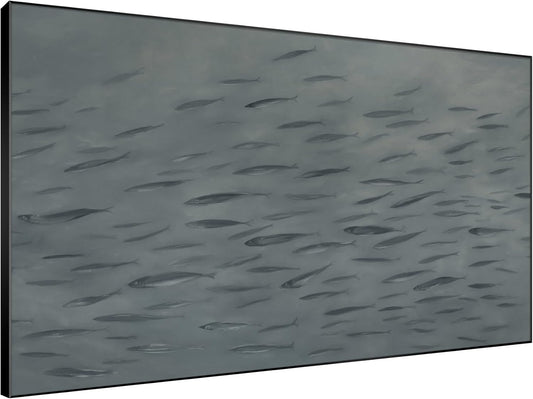 SIGNWIN 46"x72" Extra Large Framed Wall Art Gray School of Fish Minimalist Ocean-Inspired Marine Life Illustration for Home Living Room Bedroom Decor (Frame Assembly Required)