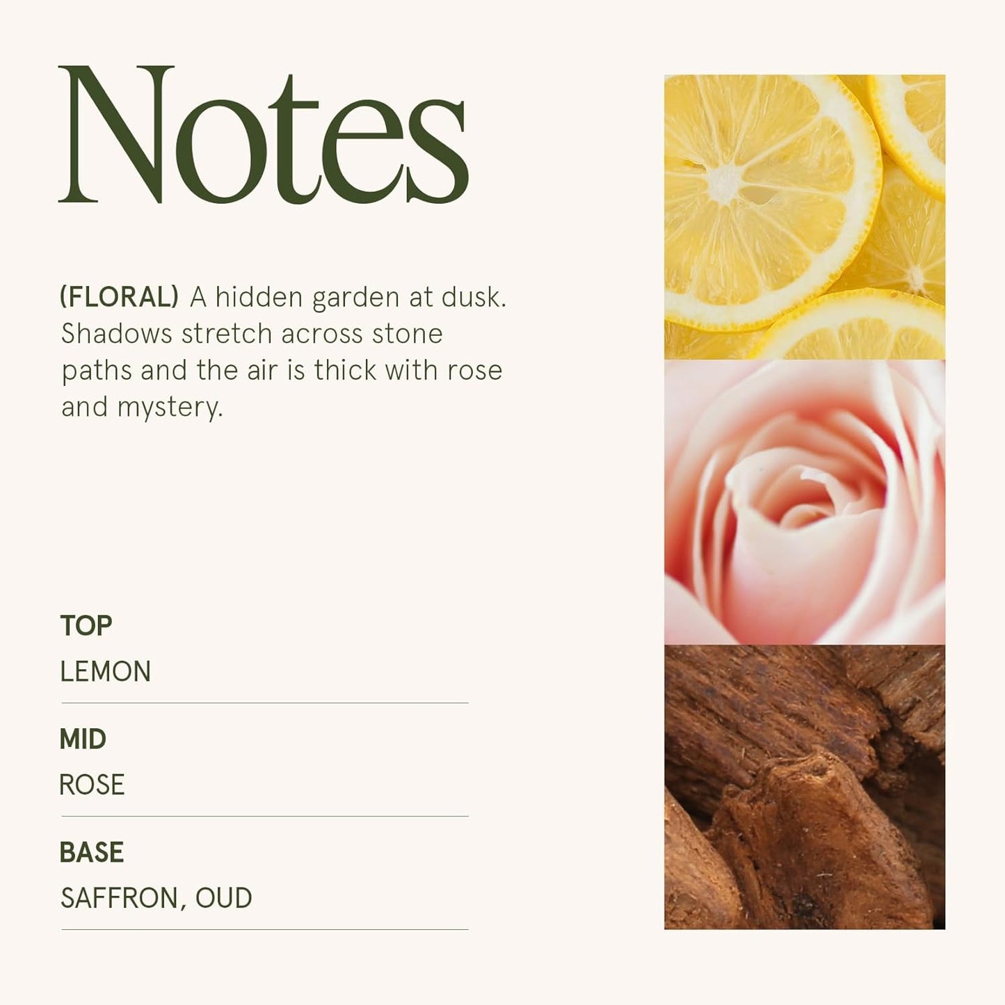 LA JOLIE MUSE Rose Noir & Oud Scented Candle – Lemon, Rose & Oud |19 oz Large Wooden Wick Candle | Natural Soy Wax | 90 Hours Clean Burn | Gift-Ready for Hosts & Gatherings | Elegant Home Décor