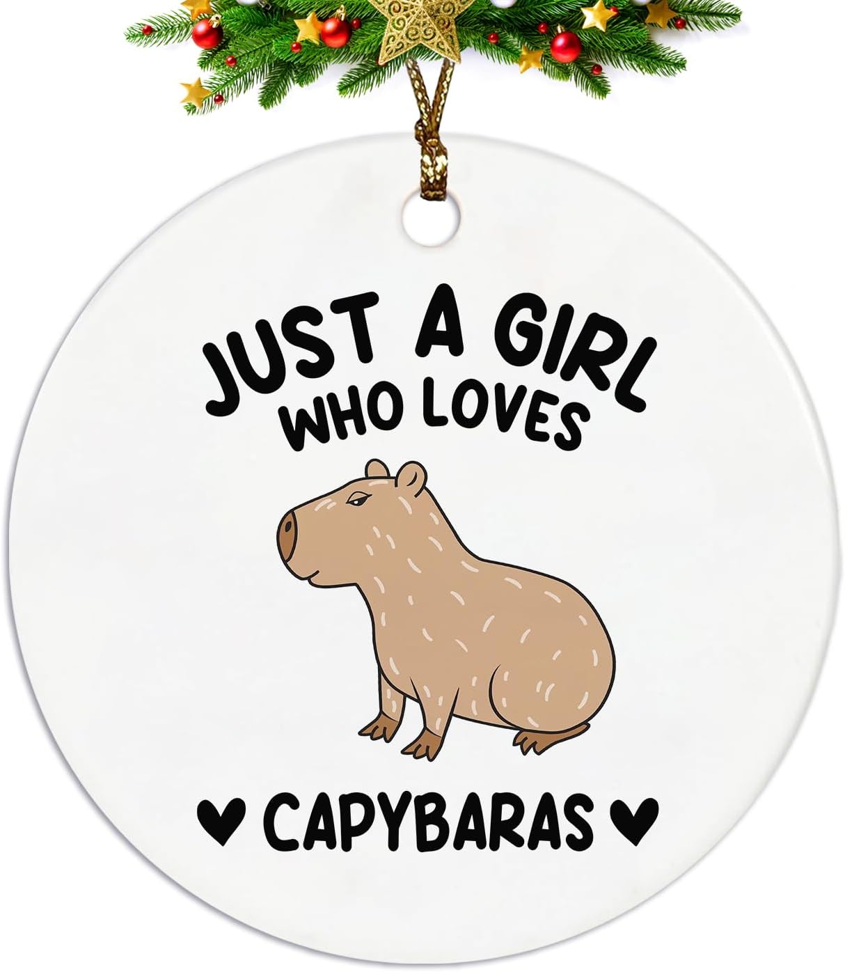 Capybara Ornament, Capybara Ornament, Capybara Gifts, Capybara Tree Decorations, Just a Girl Who Loves Capybaras Ceramic Ornaments, Capybara Decorative Hanging Ornament
