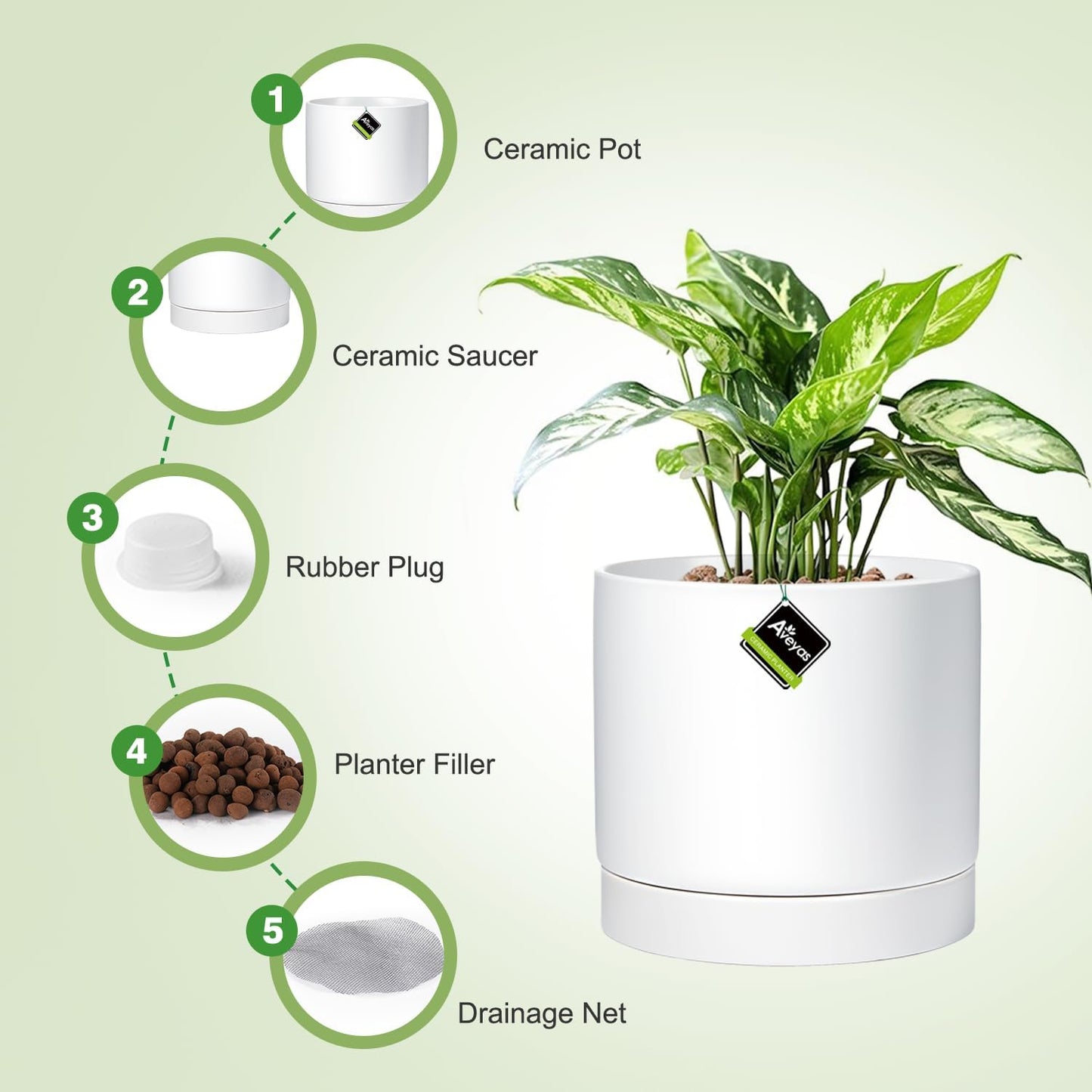Aveyas 10 inch Ceramic Plant Pot with Drainage Hole and Saucer - Suitable for Indoor and Outdoor Use, Modern Planters for House Garden Flower Tree Snake Monstera Plants (10", Matte White)