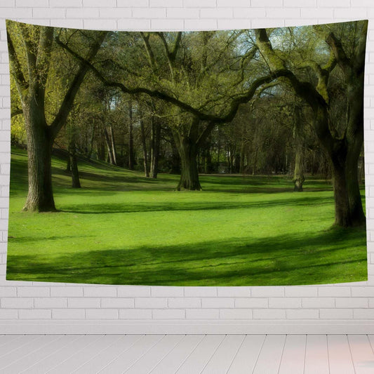 Landscape Tapestry For Bedroom Landscape Of Kings Park Green And Nature Scene Tapestries Wall Hanging For Living Room Dorm Office 60×50 In