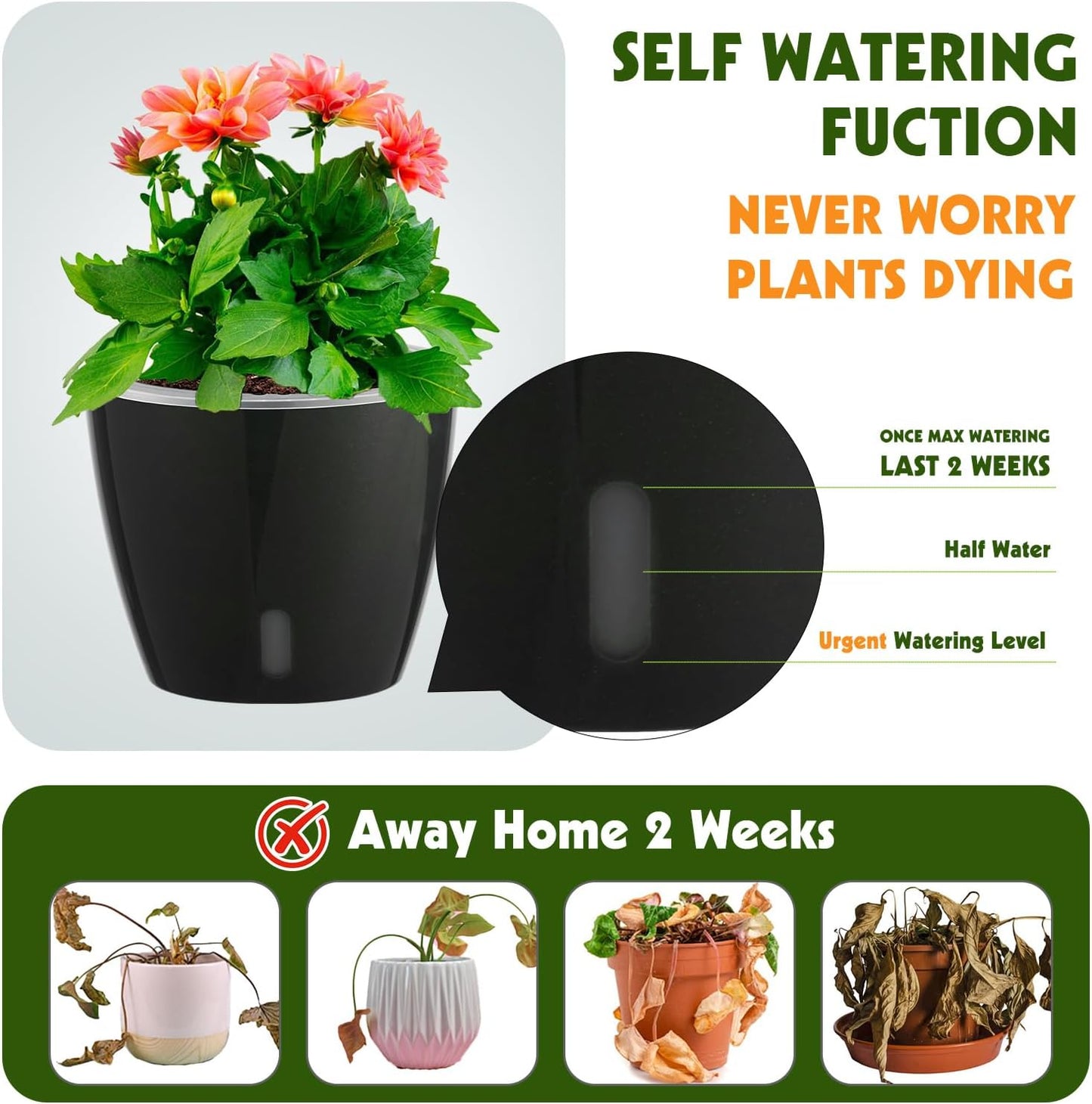 Self Watering Pots for Indoor Plants, 12-Pack 5'' Self Watering Planter with Drainage Holes, Small African Violet Pots with Water Level Indicator, Clear Wick Pot, Black