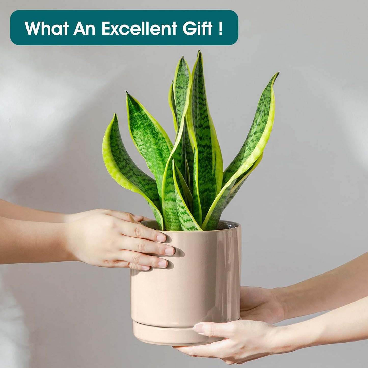 vancasso Ceramic Planters, Plant Pots for Indoor Plants, 6.25+8.25+10.25 Inch Ceramic Pots for Plants, Flower Pots with Drainage Holes (Gray, 6.25+8.25+10.25 Inch)