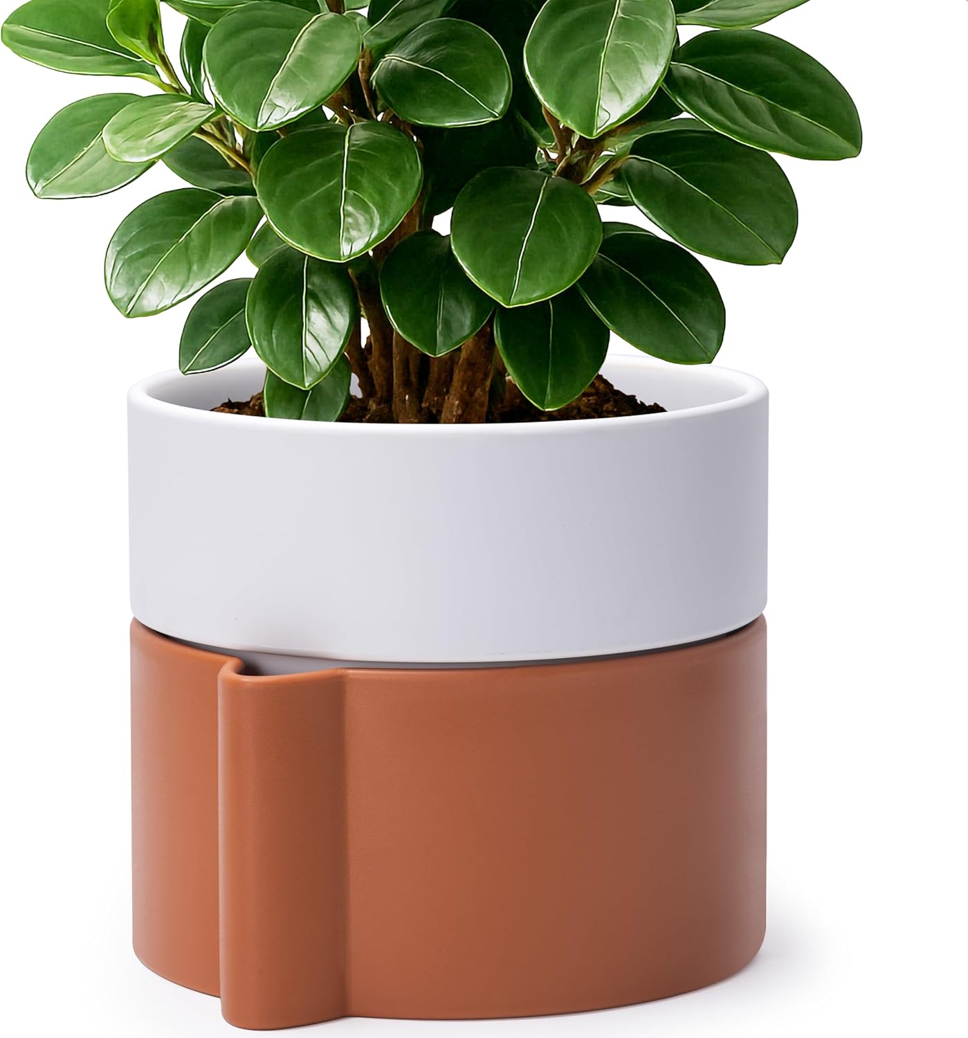 8 Inch Self-Watering Planter Pot with Terracotta Insert, Deep Water Reservoir, and Ceramic-Alike BPA-Free Plastic Planter Pot for Plant, Modern Planter for Houseplants, Terracotta/White, 53-B-T-6