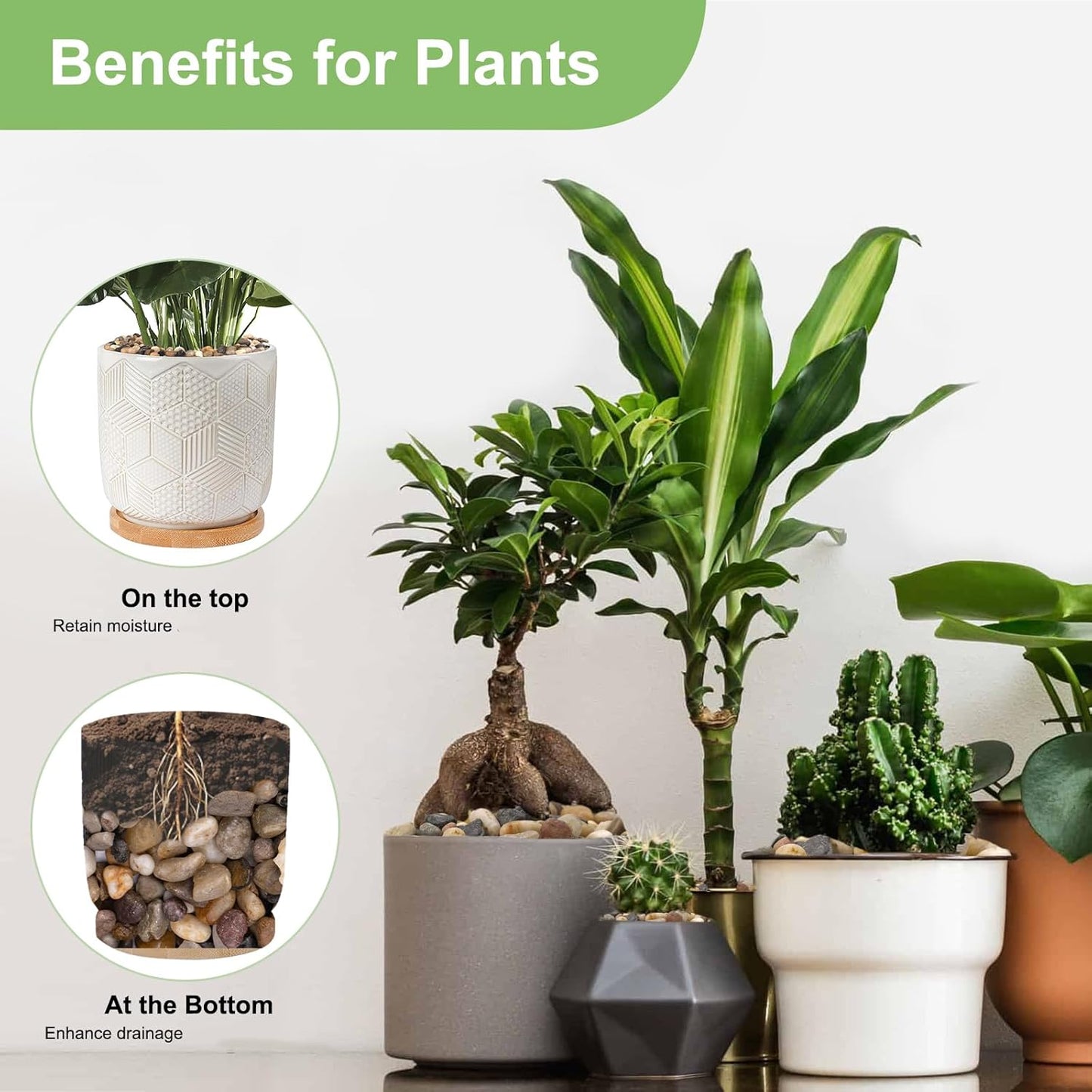 2.5 lbs Drainage Rocks for Potted Plants, 1/5 Inch Small Pebbles for Indoor Plants, Decorative Gravel for Vases, Bamboo, Succulent, Terrarium, Crafts, Cactus