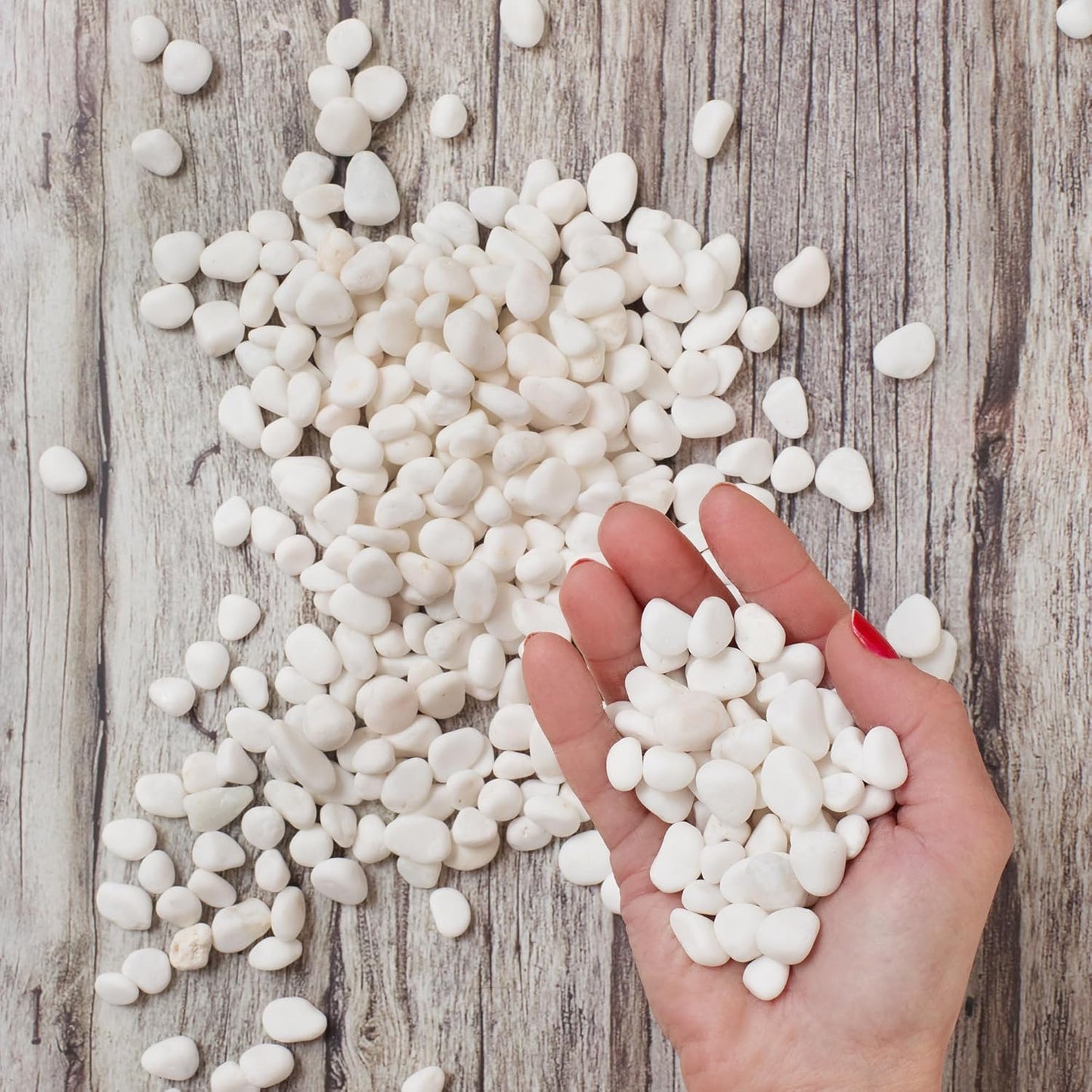 Royal Imports 30LBS River Rocks Decorative Ornamental Pebbles, Garden Landscaping Stones, Gravel Filler for Plants, Vases, Succulents, Home Decor, Aquariums, Crafting, Animal Habitat - Small White