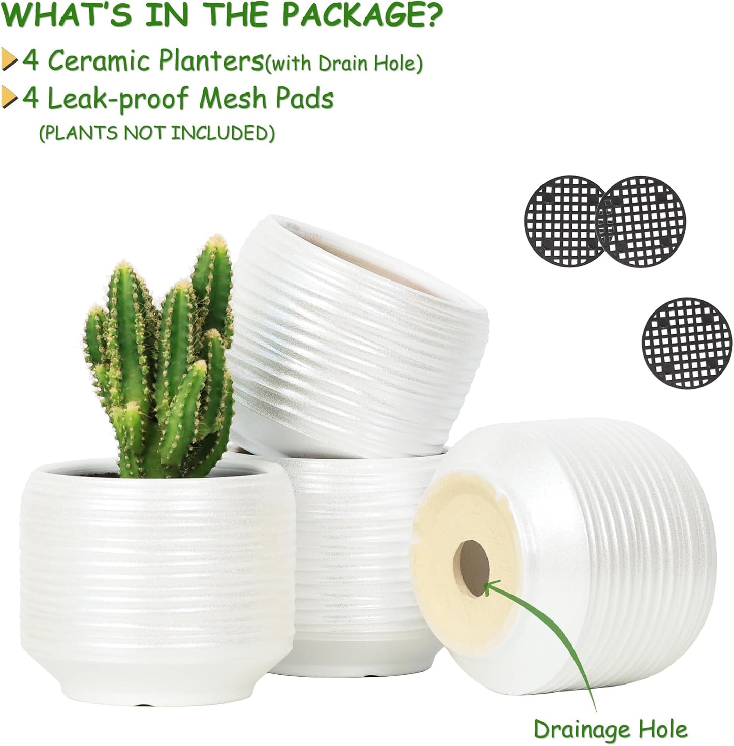 Mini Succulent Planter Set – 3.7 Inch Ceramic Pots with Drainage for Indoor Plants, Small Decorative Flower Pots for Cactus and House Plants, Set of 4