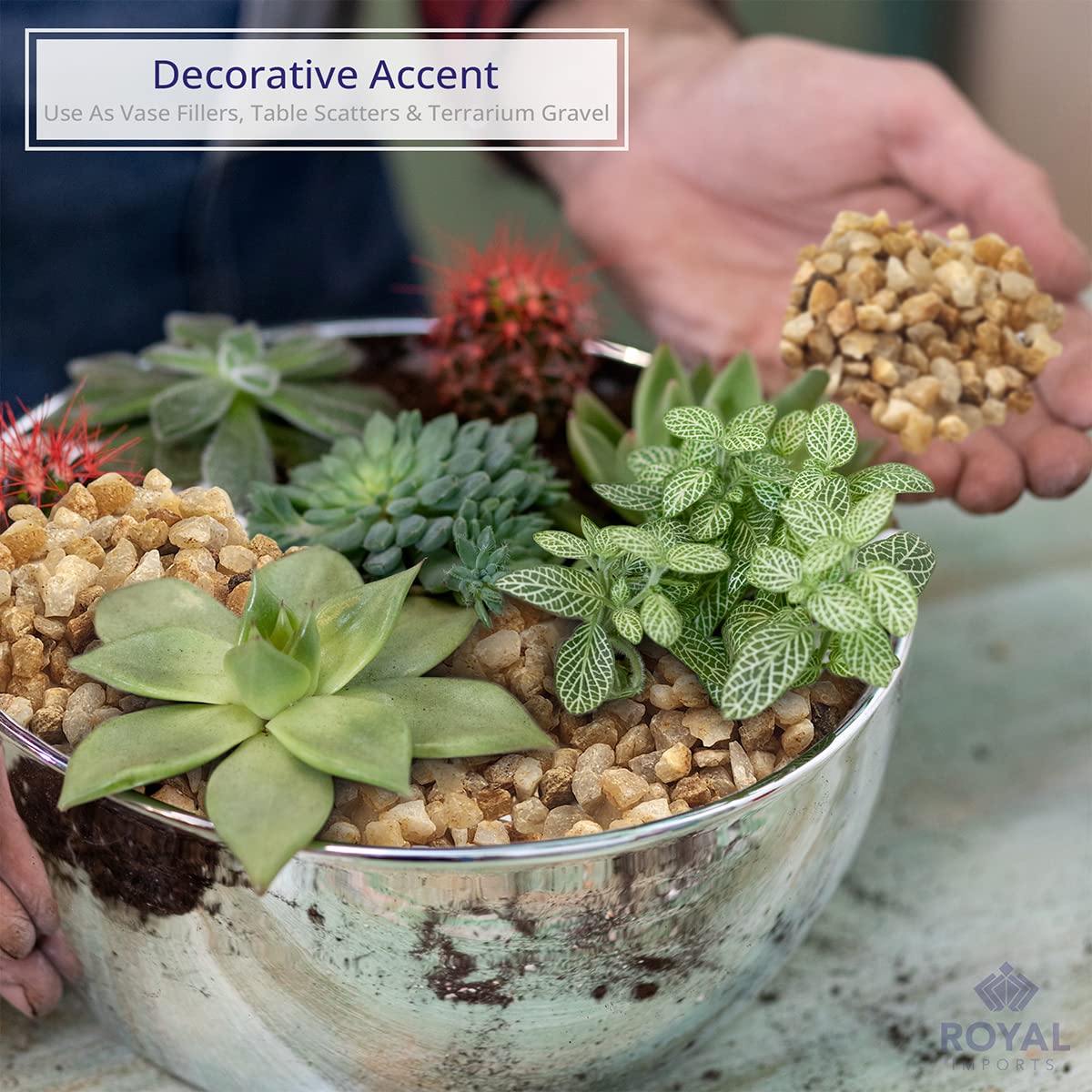 Royal Imports 5LBS River Pebbles Decorative Ornamental Rocks, Garden Landscaping Stones, Gravel Filler for Plants, Vases, Succulents, Home Decor, Aquariums, Crafting, Animal Habitat - Mini Natural