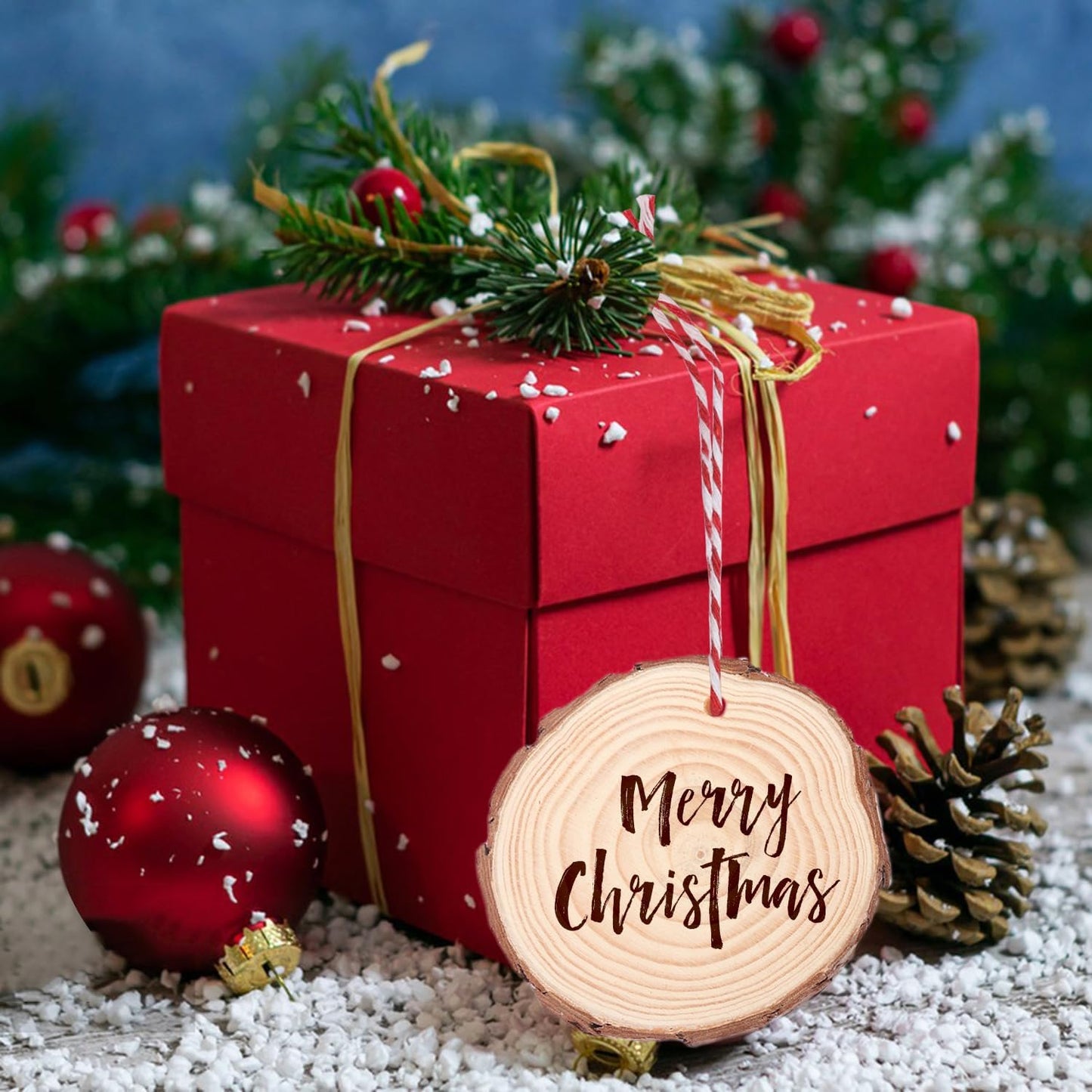 80 PCS 3.6-4 Inch Unfinished Wood Slices, Natural Wood Slices, Predrilled with Hole Wood Slice for DIY Arts Craft Christmas Ornaments by GNIEMCKIN