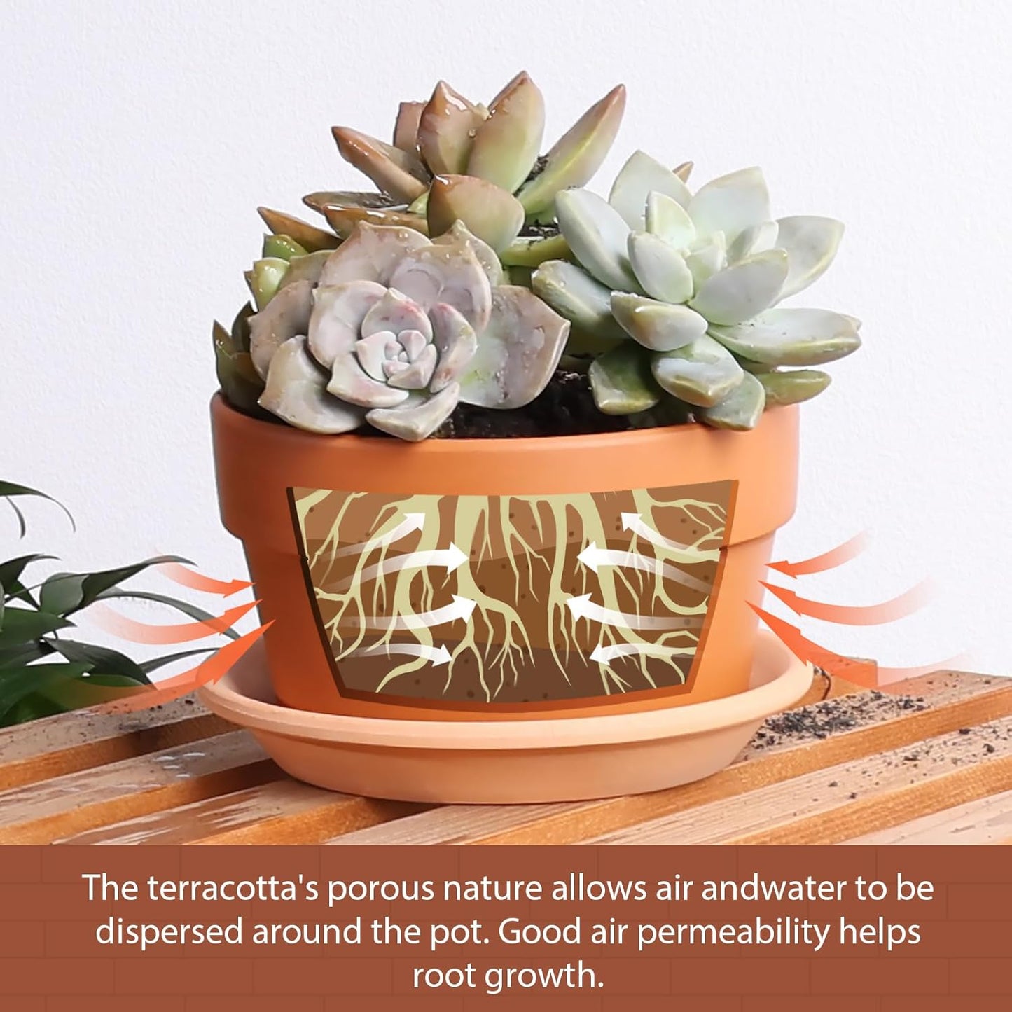 INGOFIN 5 Inch Terracotta Shallow Pots Set with Saucer - Ceramic Clay Pots with Drainage Hole, Terra Cotta for Plants for Indoor Outdoor Plants, Set of 6