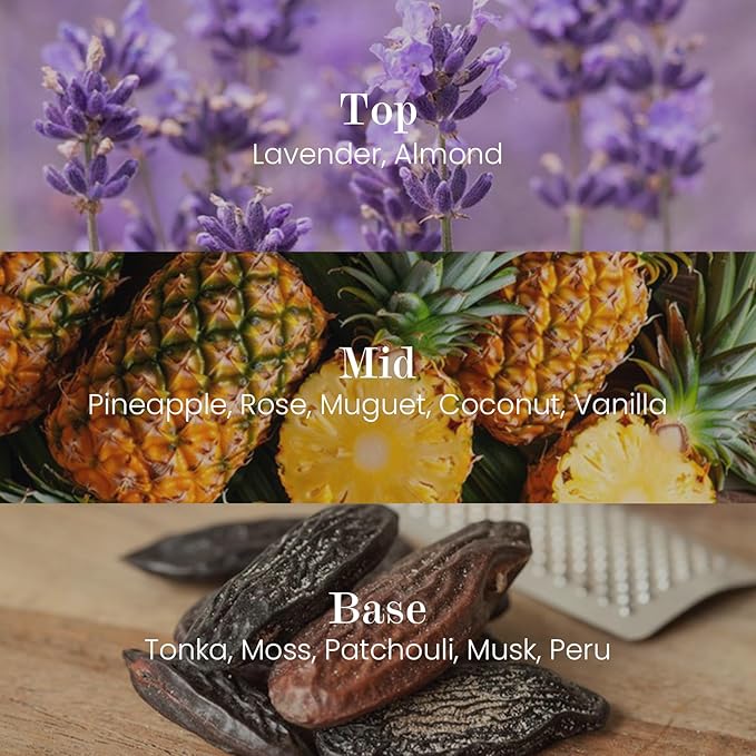 M&SENSE Natural Soy Candle| Lavender Vanilla | 16.6 oz, 95H Burn | Minimalist Scented Candle for Relaxation, Gifting, Home Décor | for Bedroom, Office, Party Large