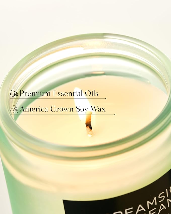 M&SENSE Orange Creamsicle Scented Candle, 7.05oz 50 Hours Slow Burning Non Toxic Natural Soy Wax 2 Wick Candle for Home Scented, Long Lasting Home Fragrance Gifts for Housewarming & Anniversry