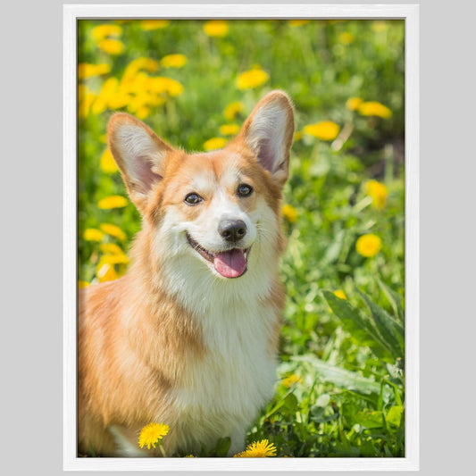 NWT Custom Framed Poster Prints with Your Any Photos, Personalized Canvas Pictures for Wall to Print Framed - 11"x14" White