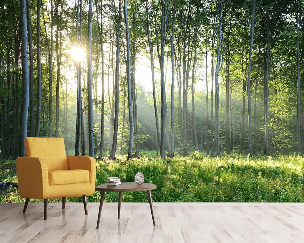 Sunshine Forest Mural Wallpaper Landscape Tree Wallpaper Large Nature Scenery Wall Mural for Living Room (not self-Adhesive)
