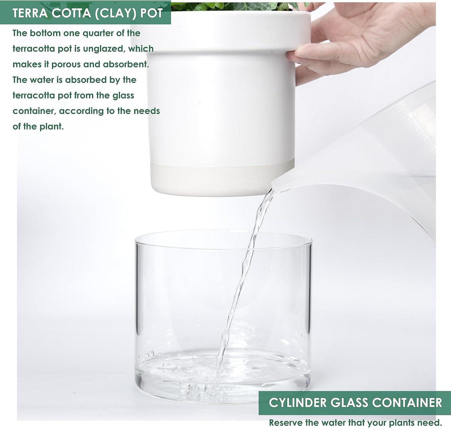 Phoenix Vine 6 Inch 4 Inch Self Watering Planter, White Terracotta Clay Pots with Glass Reservoir for Indoor Plants, Herbs, Flowers, 52-B-G-46