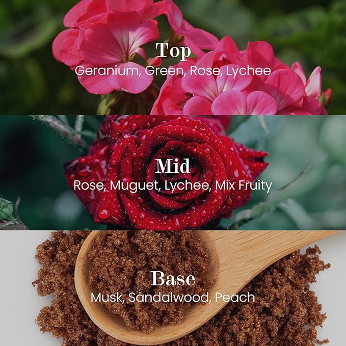 M&SENSE Natural Soy Candle| Rose & Lychee | 16.6 oz, 95H Burn | Minimalist Scented Candle for Relaxation, Gifting, Home Décor | for Bedroom, Office, Party Large