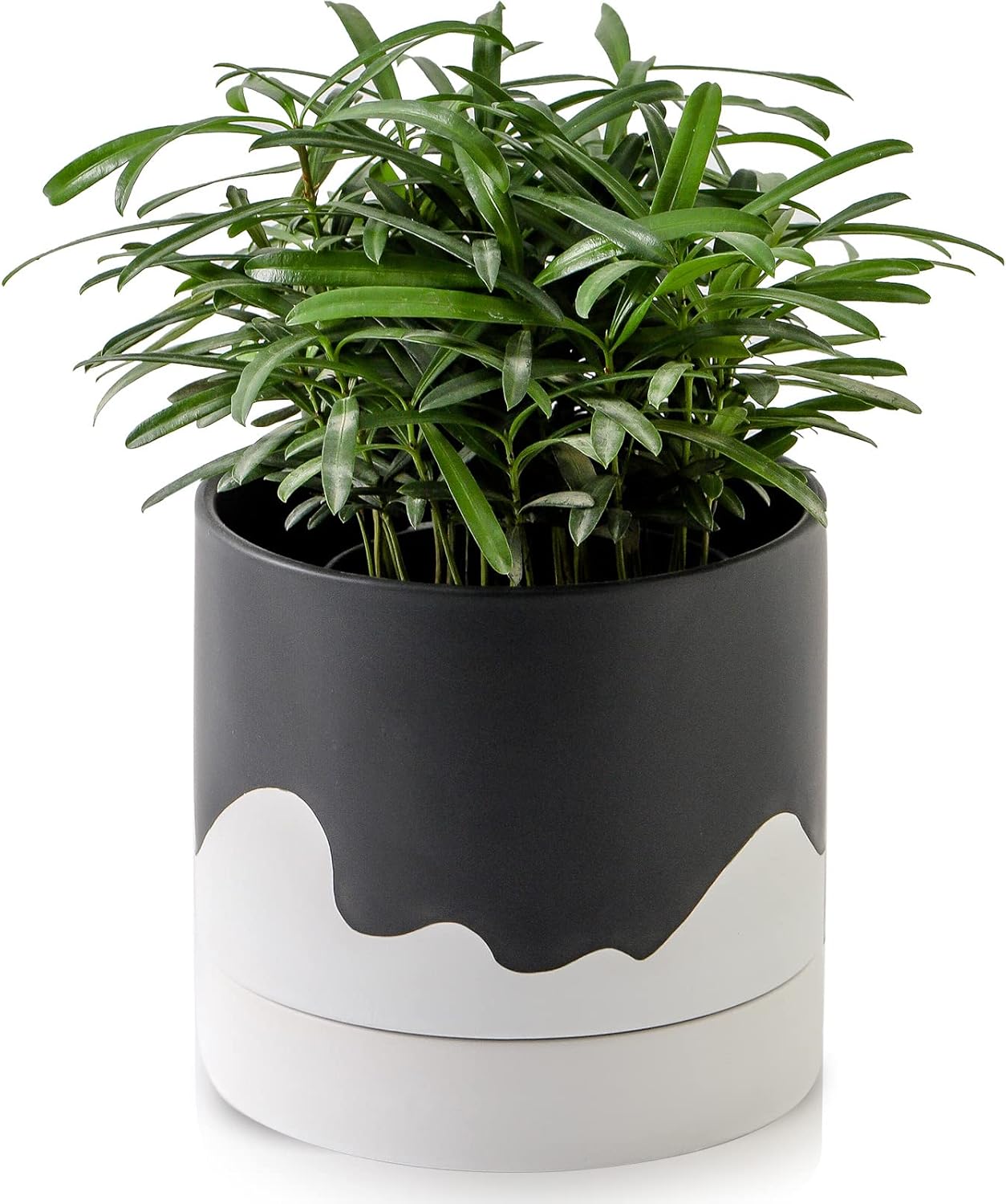 Nihow Ceramic Plant Pot: 6 Inch Planter with Drainage Hole & Saucer for Indoor & Outdoor Plants - Cylinder Round Flower Pot for Succulent/Herbs/Violets - Black & Wave White
