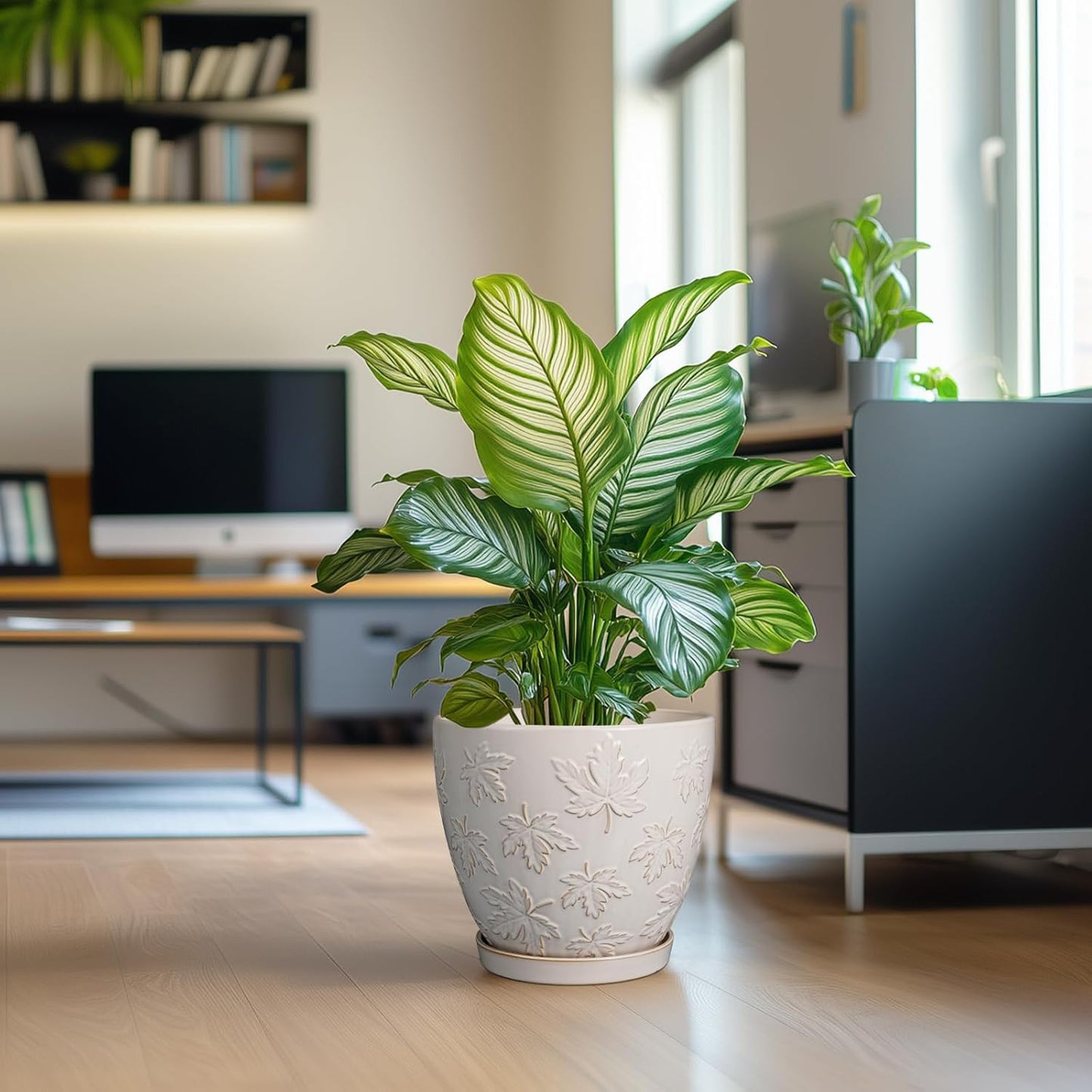 Pots for Plants 10 Inch - Ceramic Planter Large Plant Pot for Indoor Plants Outdoor Round Flower Pot with Drainage Hole and Saucer Home Garden Decor White