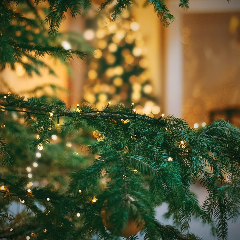 XTF2015 336ft 1000 LED Christmas Long String Lights, 8 Lighting Modes Waterproof Christmas Tree Lights Outdoor Indoor Fairy Light for Patio, Garden, Party, Wedding, Holiday Decorations (Warm White)