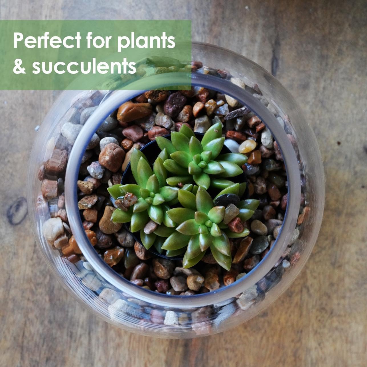 Craft And Party Fish Bowl Vase, 11" Height x 13" Width, Set of 2 Glass Bubble Bowl Vase for Terrarium and Flower Centerpiece