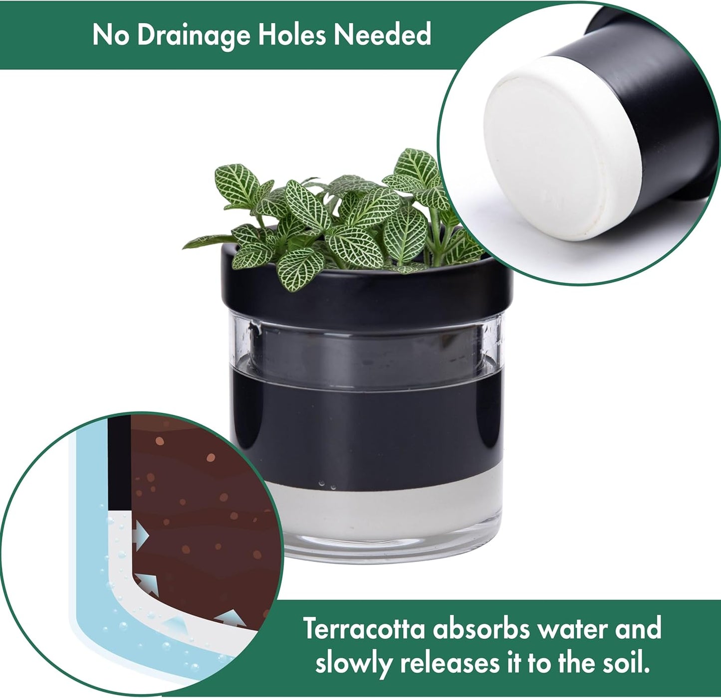 Phoenix Vine 4 Inch Self Watering Planter Pot, Black Terracotta Clay Pot with Glass Reservoir for Indoor Plants, Herbs, Flowers, Set of 2, 52-C-E-2