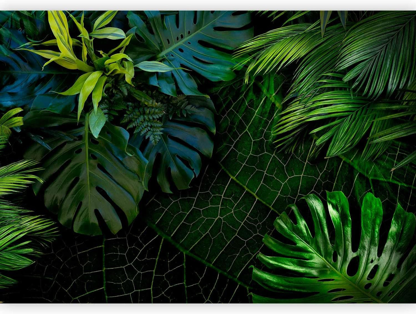 artgeist Wall Mural Tropical 98x69 in - XXL Non-Woven Wallpaper Fleece Wall Decor Photo Print Picture Image Design Home b-C-0224-a-a