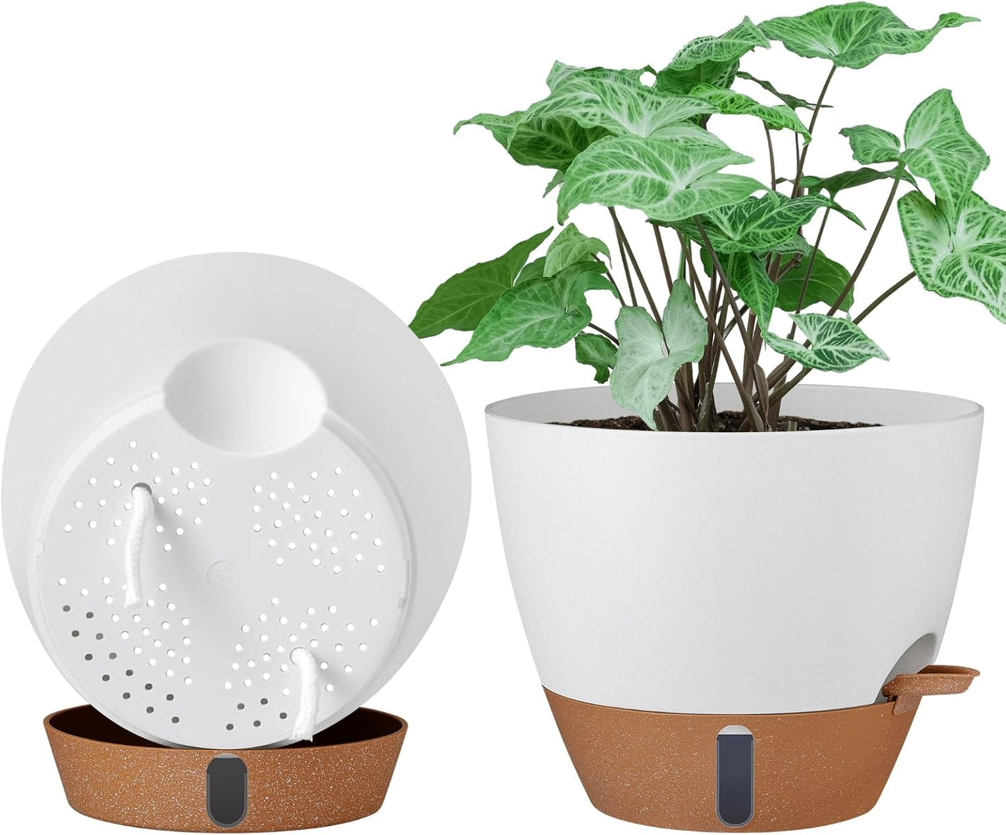 montresor 2 Pack 8 inch Plant Pots, PP Plastic Self Watering Plant Pot with Drainage and Tray for Indoor Outdoor Plants, Water Level Window & Reservoir Flower Pots Decorative Planter(White)