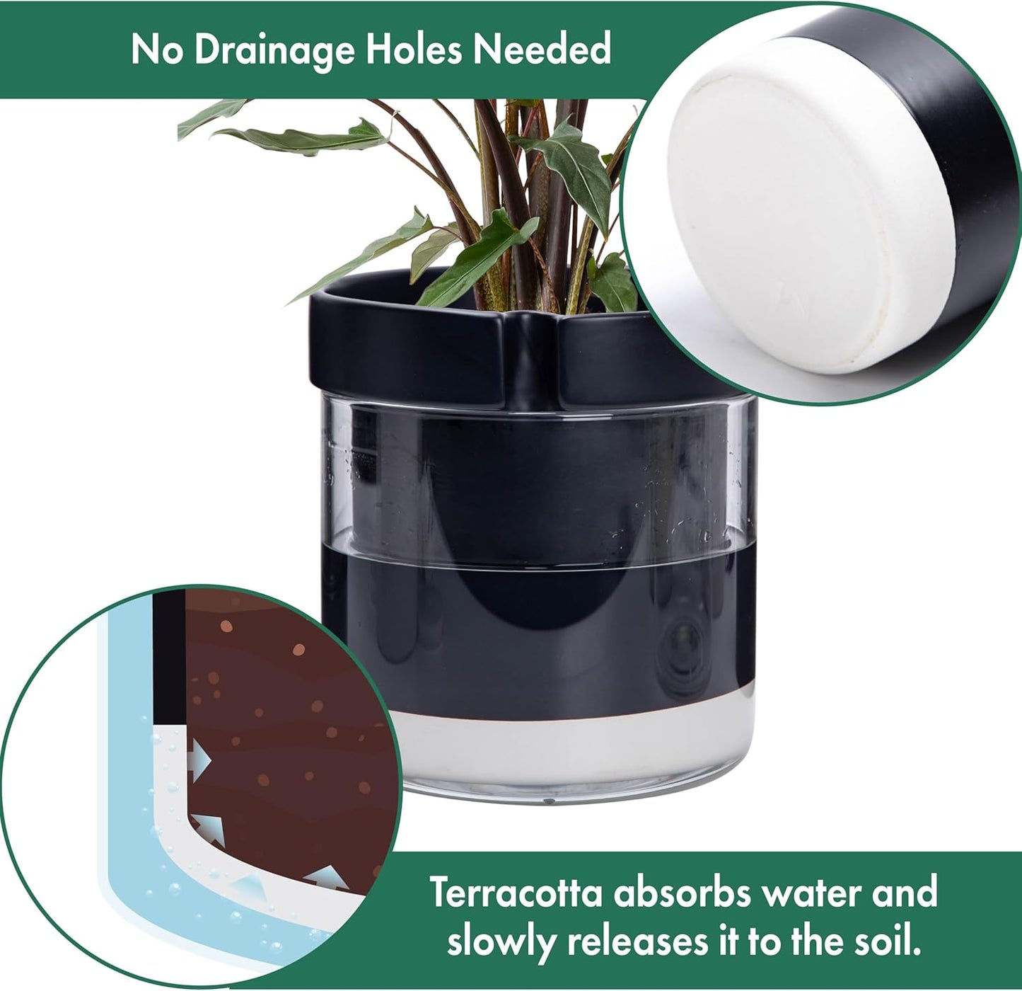 Phoenix Vine 8 Inch Self Watering Terracotta Planter, Black Terracotta Clay Pot with Glass Reservoir for Indoor Plants, Herbs, Flowers, Set of 1, 52-C-H-1