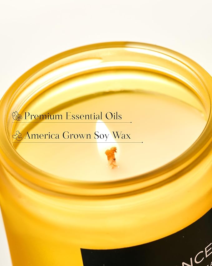 M&SENSE Limocello Summer Scented Candle, 7.05oz 50 Hours Long Lasting Burn Non Toxic Natural Soy Wax Lemon Highly Scented for Home Decor, 2 Wick Relaxing Candle Gifts for Yoga Spa Meditation