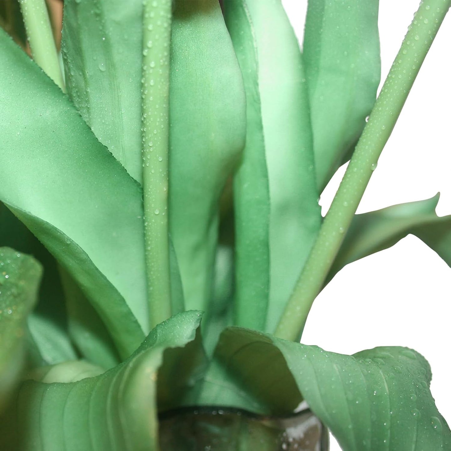 15pcs Artificial Tulips Flowers, Fake Tulips Real Touch, Faux Latex Bouquets, for Party Wedding Home Room Decoration (White)