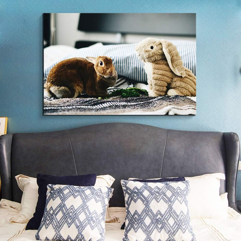 NWT Custom Canvas Prints with Your Photos for Pet/Animal, Personalized Canvas Pictures for Wall to Print Framed 8x10 inches