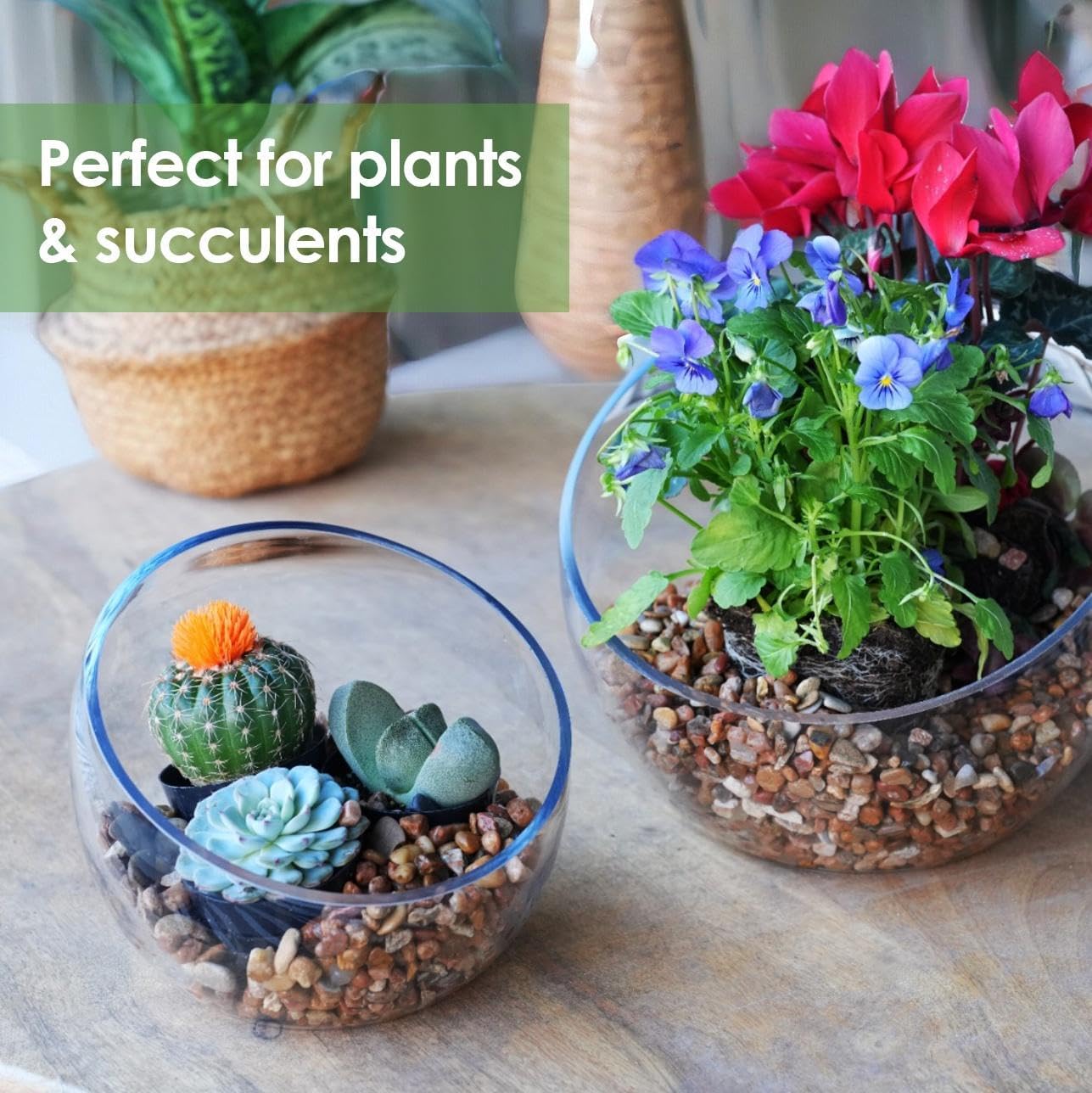 Craft And Party, Slantted Glass Cut Bubble Bowl, 8.5" Height x 10" Width Slantted Bubble vase for Terraium, Flower vase Centerpiece