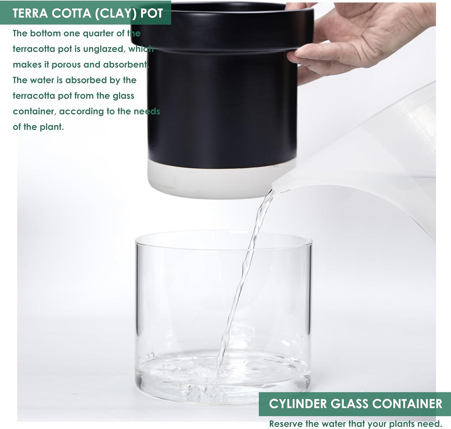 Phoenix Vine 6 Inch 4 Inch Self Watering Terracotta Planter, Black Terracotta Clay Pot with Glass Reservoir for Indoor Plants, Herbs, Flowers, 52-C-G-46