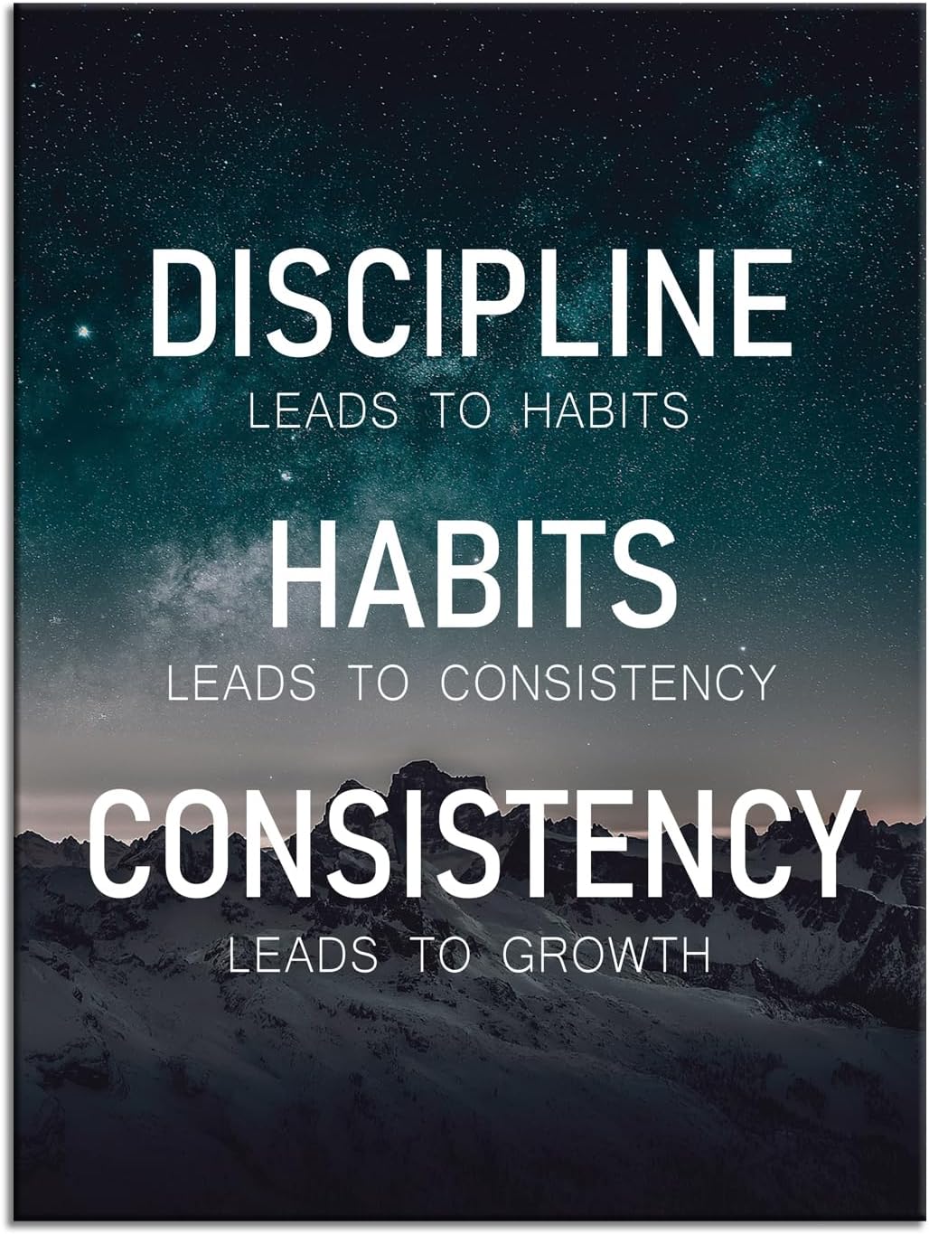 Motivational Poster Discipline Habits Consistency Growth Inspirational Wall Art Canvas Prints Artwork for Office Modern Home Decor Painting Pictures Stretched and Framed Ready to Hang [30''Wx 40''H]