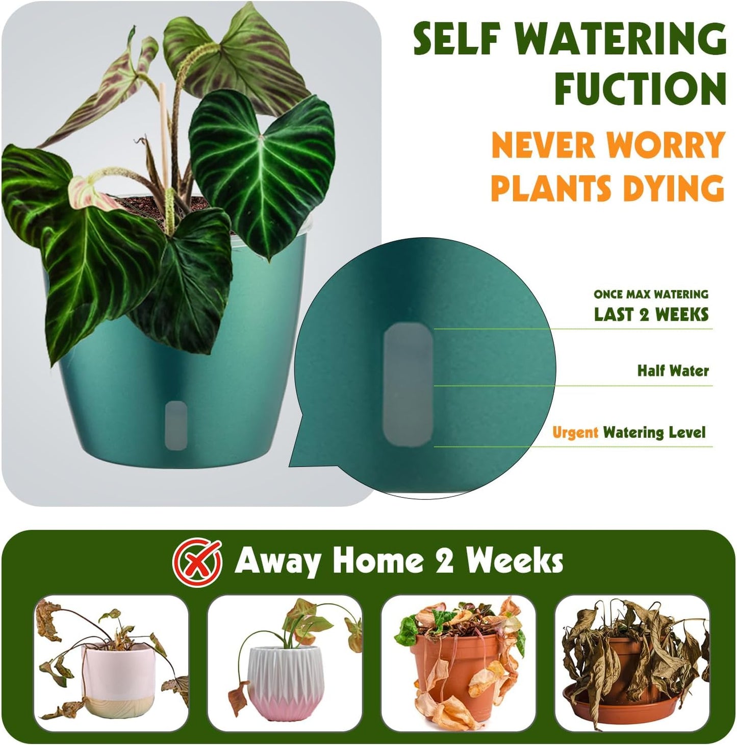 Self Watering Pots for Indoor Plants, 6-Pack 5'' Self Watering Planter with Drainage Holes, Small African Violet Pots with Water Indicator, Clear Wick Orchid Pot, Blue Gold