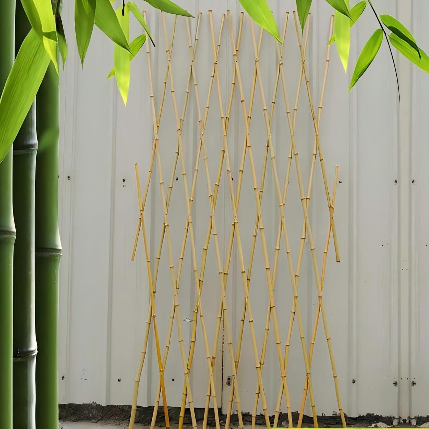 Expandable Bamboo Trellis Fence - 48x72 Inch, Climbing Plants, Eco-Friendly, Easy Installation,Lattice Fence
