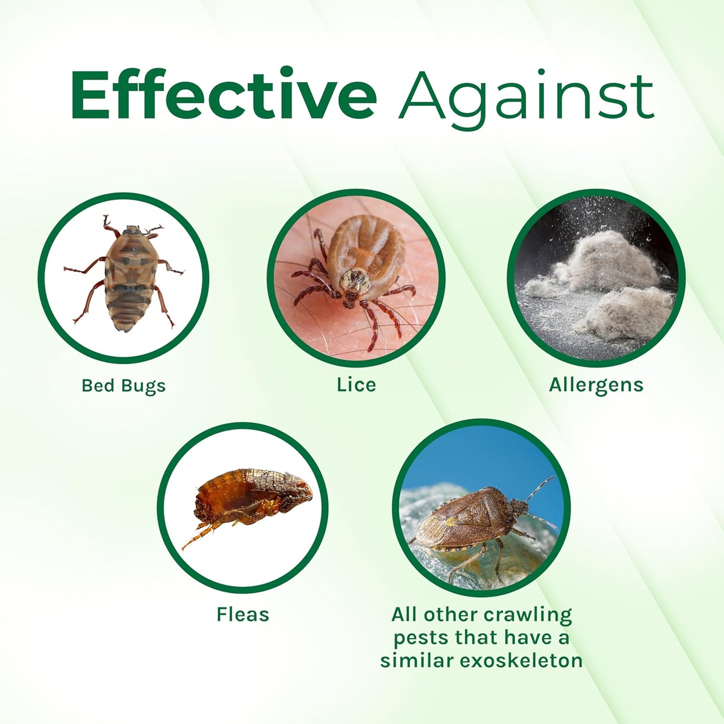 Lice and Bed Bug Laundry Additive - Environmentally Responsible, Odorless, and Stain-Free Liquid Laundry Treatment - Safe for Children and Pets - Any Water Temperature (32 Fl Oz)