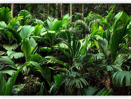 artgeist Premium Wall Mural Nature 118x83 in - XXL Non-Woven Wallpaper Fleece Wall Decor Photo Print Picture Image Design Botanical Plants Jungle Leaves b-B-0594-a-a