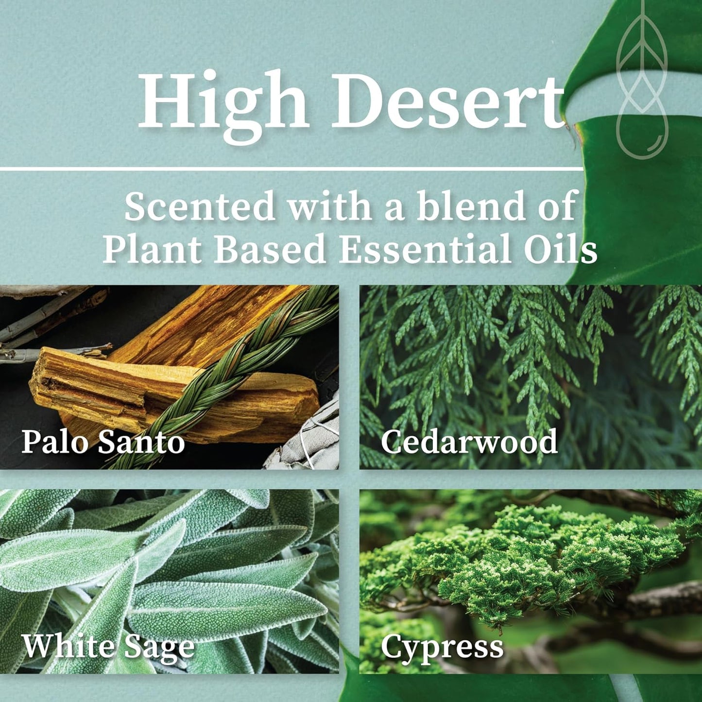 Hemlock Park Wood Wick Candle Handcrafted with Natural Coconut Wax and Essential Oils (Amber & Gold 7.2 oz, High Desert)