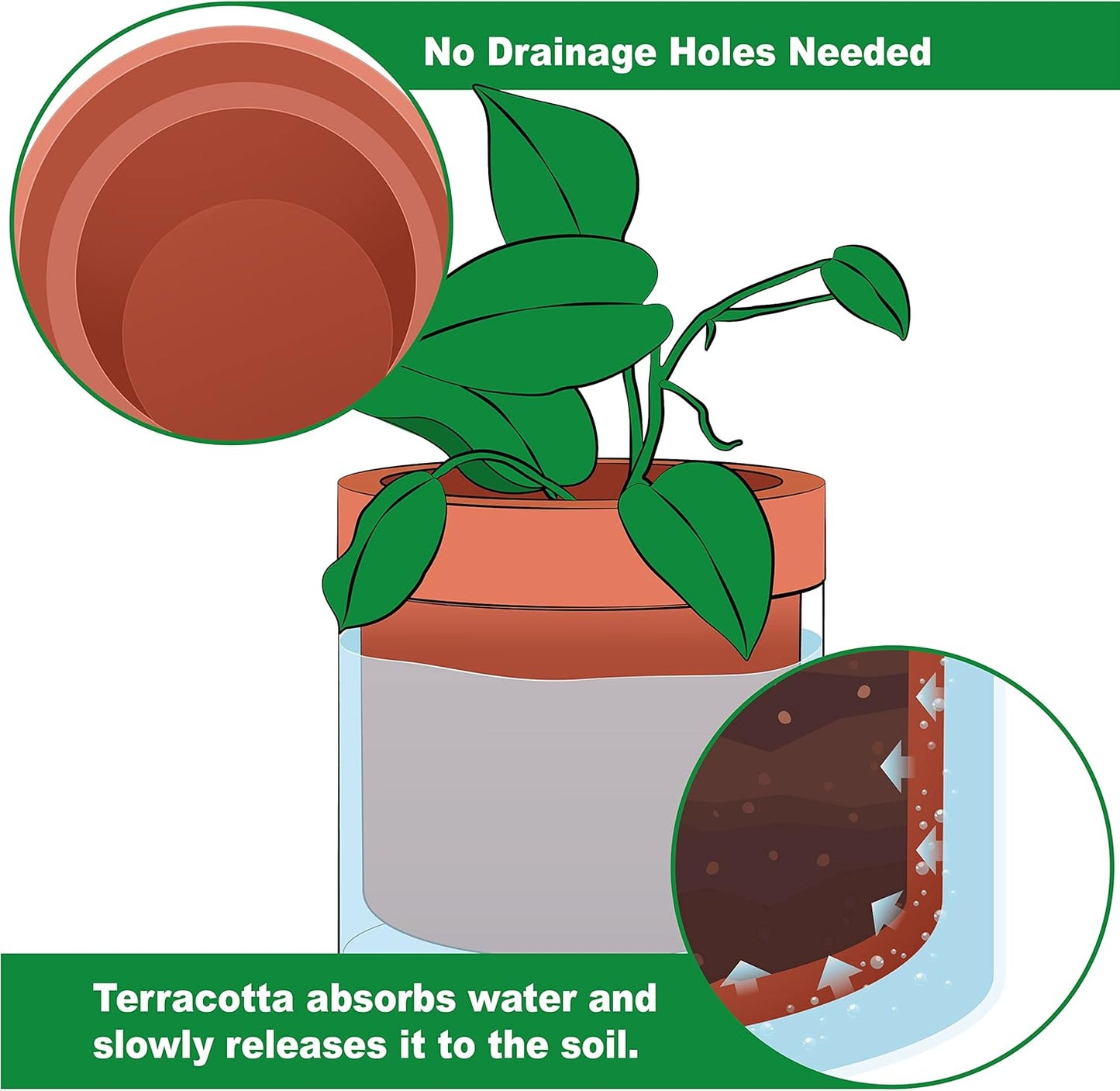 Phoenix Vine 6 Inch Self Watering Planter Pot, Terracotta Clay Pot with Glass Reservoir for Indoor Plants, Herbs, Flowers, Set of 2, 52-A-F-2
